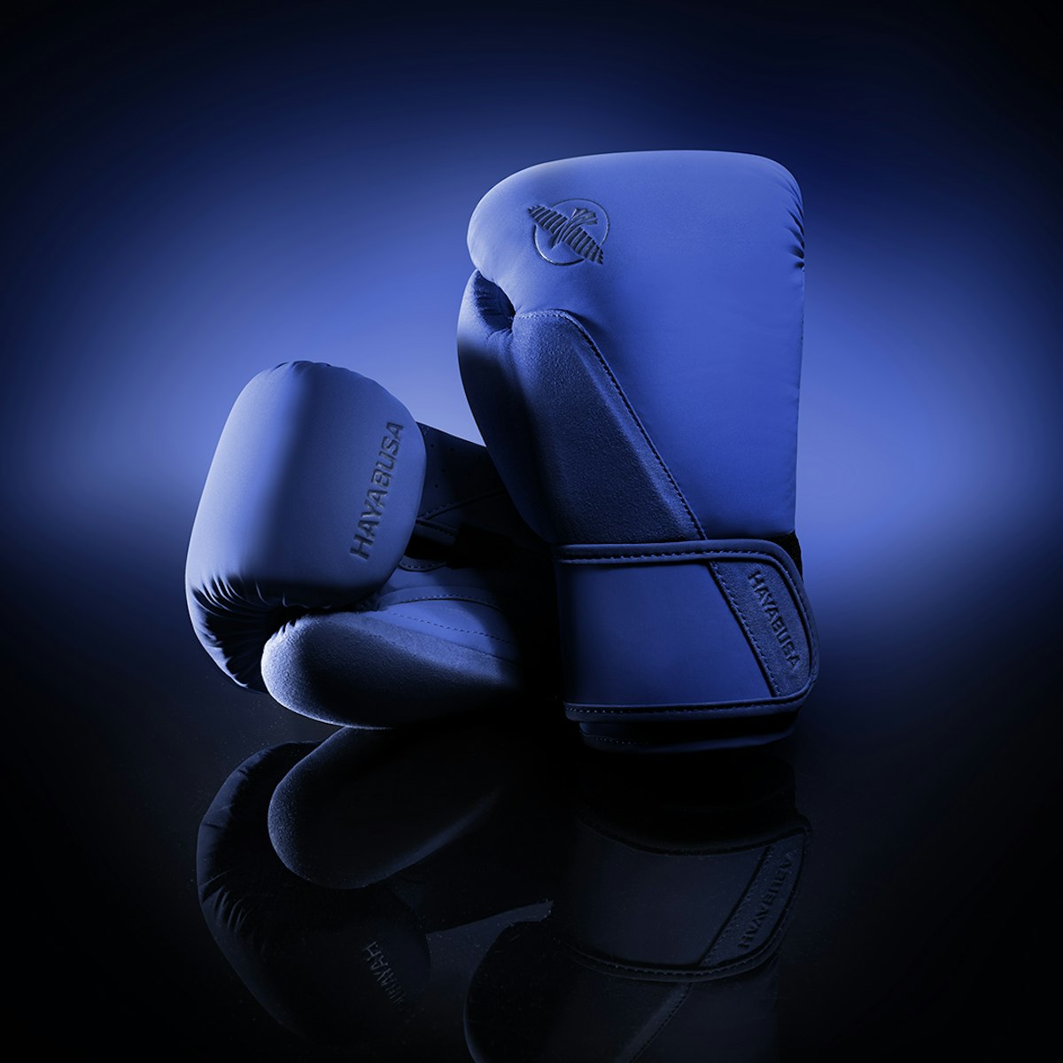 Guantes de Box Hayabusa T360 (Azul) (Disponible por Encargo)