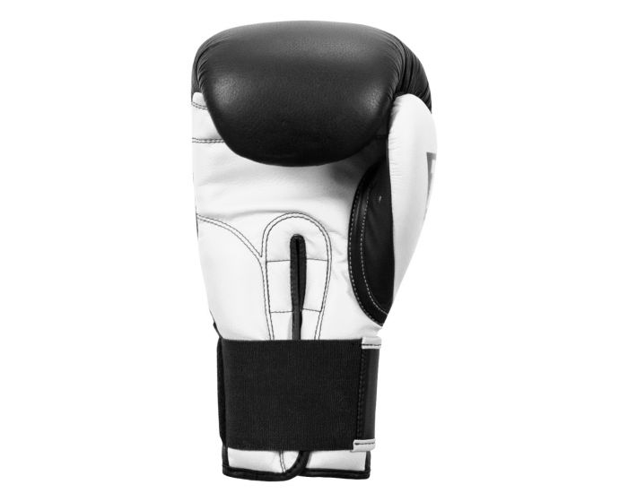 Guantes de Box Title Dynamic Strike (Negro / Blanco) (Disponible por Encargo)