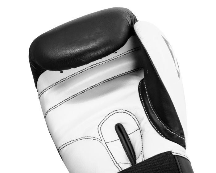 Guantes de Box Title Dynamic Strike (Negro / Blanco) (Disponible por Encargo)