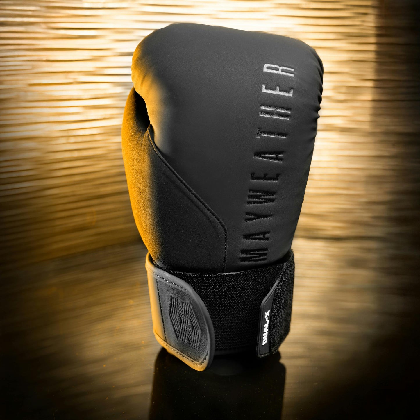 Guantes de Box Hayabusa Mayweather Champ (Negro / Negro) (Disponible por Encargo)